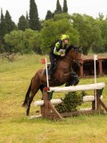 DSC07196 DSC07196