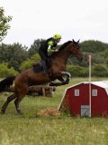 IMG_2267 IMG_2267