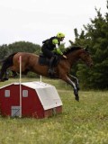 IMG_2269 IMG_2269