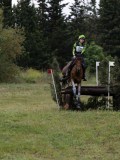 IMG_2271 IMG_2271
