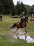 IMG_2275 IMG_2275