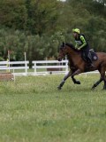 IMG_2285 IMG_2285