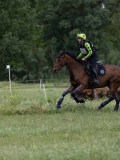 IMG_2286 IMG_2286