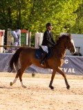 DSC03790 DSC03790