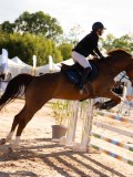 DSC03798 DSC03798