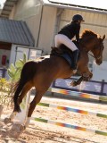 DSC03799 DSC03799