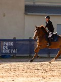 DSC03809 DSC03809