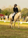 DSC02650