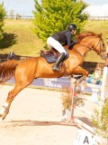 DSC09512 DSC09512