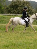 DSC08075