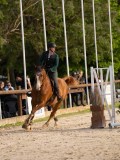DSC00481