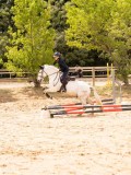 DSC02961