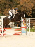 DSC06623 DSC06623