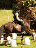 DSC02761 DSC02761