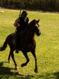 DSC02766 DSC02766