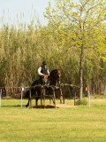 DSC02768 DSC02768