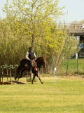 DSC02769 DSC02769