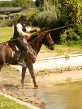 DSC02773 DSC02773