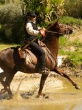 DSC02774 DSC02774