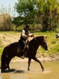 DSC02776 DSC02776