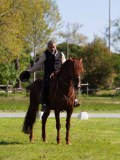 IMG_0858