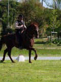 IMG_0872
