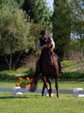 IMG_0874