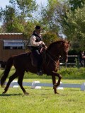 IMG_0877