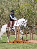 IMG_0566