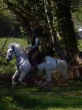 IMG_0580