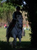 IMG_0583