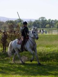 IMG_0591