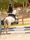 DSC07665 DSC07665