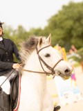 DSC07673 DSC07673
