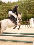 DSC07674 DSC07674