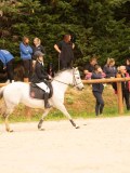 DSC07678 DSC07678