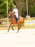 DSC00716 DSC00716