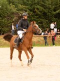 DSC07826 DSC07826