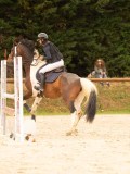 DSC01154 DSC01154