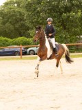 DSC01164 DSC01164