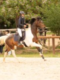 DSC01168 DSC01168