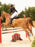 DSC01314 DSC01314