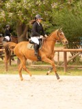DSC01315 DSC01315