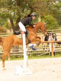 DSC01317 DSC01317