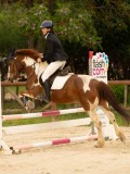 DSC09429 DSC09429
