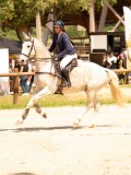 DSC03144 DSC03144