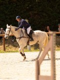 DSC03164 DSC03164