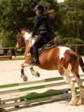 DSC04629 DSC04629