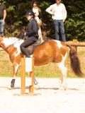 DSC04643 DSC04643