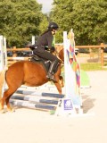 DSC03474 DSC03474